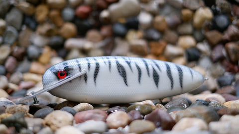 Mattlock 8five White Tiger