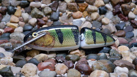 Mattlock 8five Jointed White Belly Foil Perch