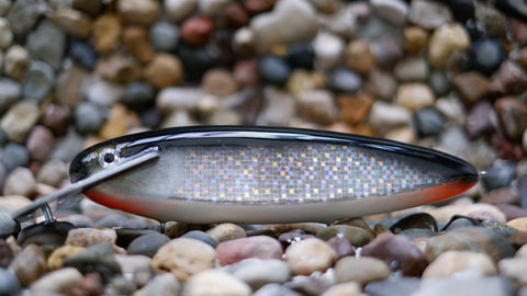 Headlock 10" Disco Cisco