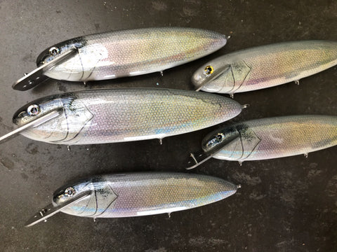 MattLock 8five Sheephead