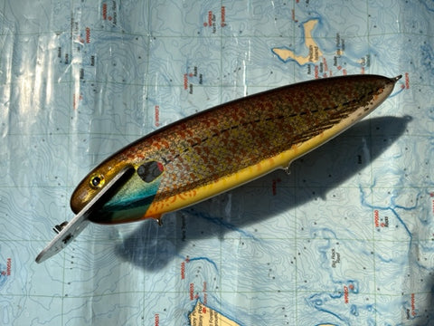 Headlock 10 Sunfish