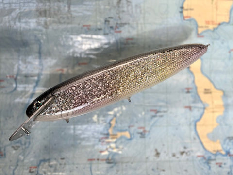 Mattlock 12" Sheephead